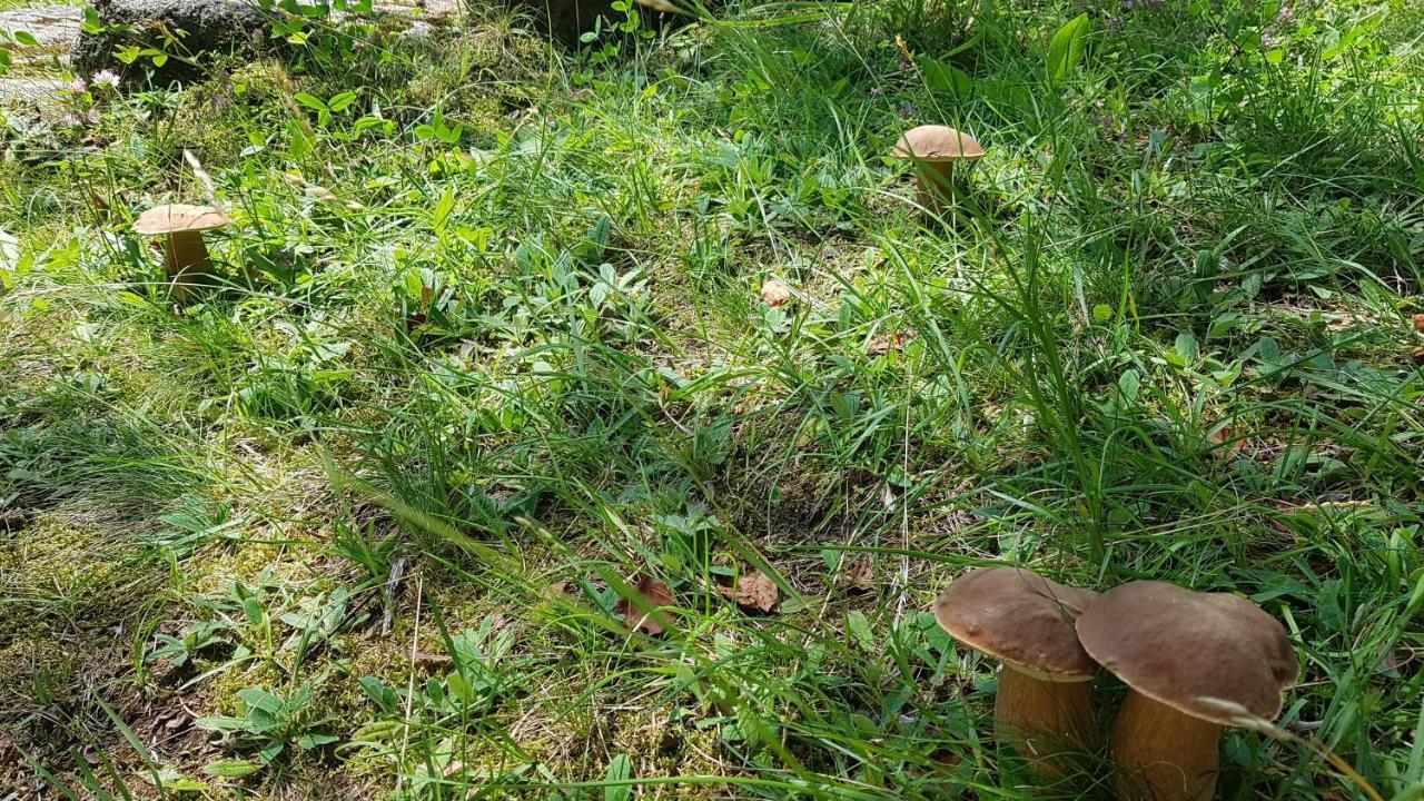 Skaly Spaly Przesieka Exterior foto